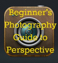 beginner's photography guide to perspective