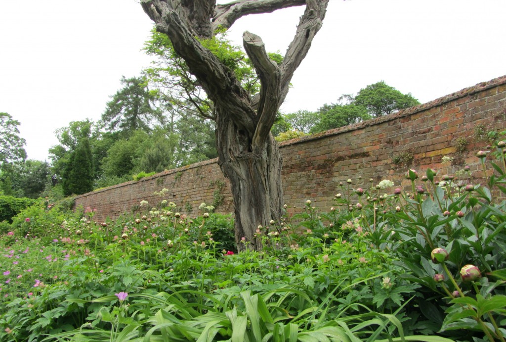 Calke Abbey gardens 11