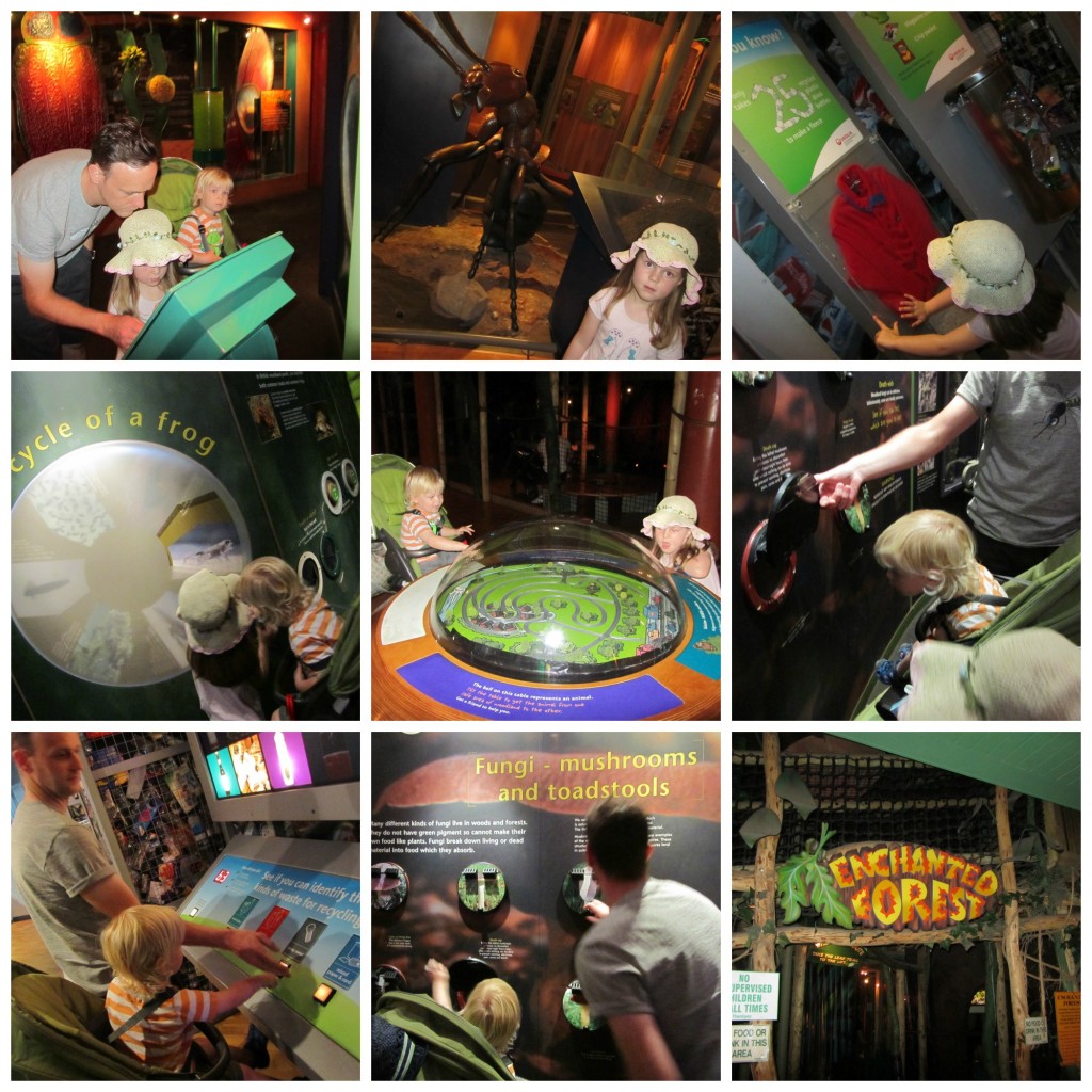 conkers discovery centre montage