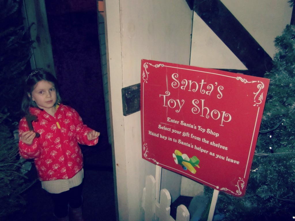 Hatton Christmas toy shop