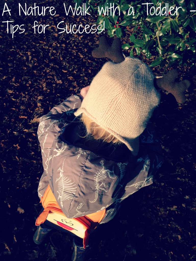 a nature walk with a toddler - tips for success