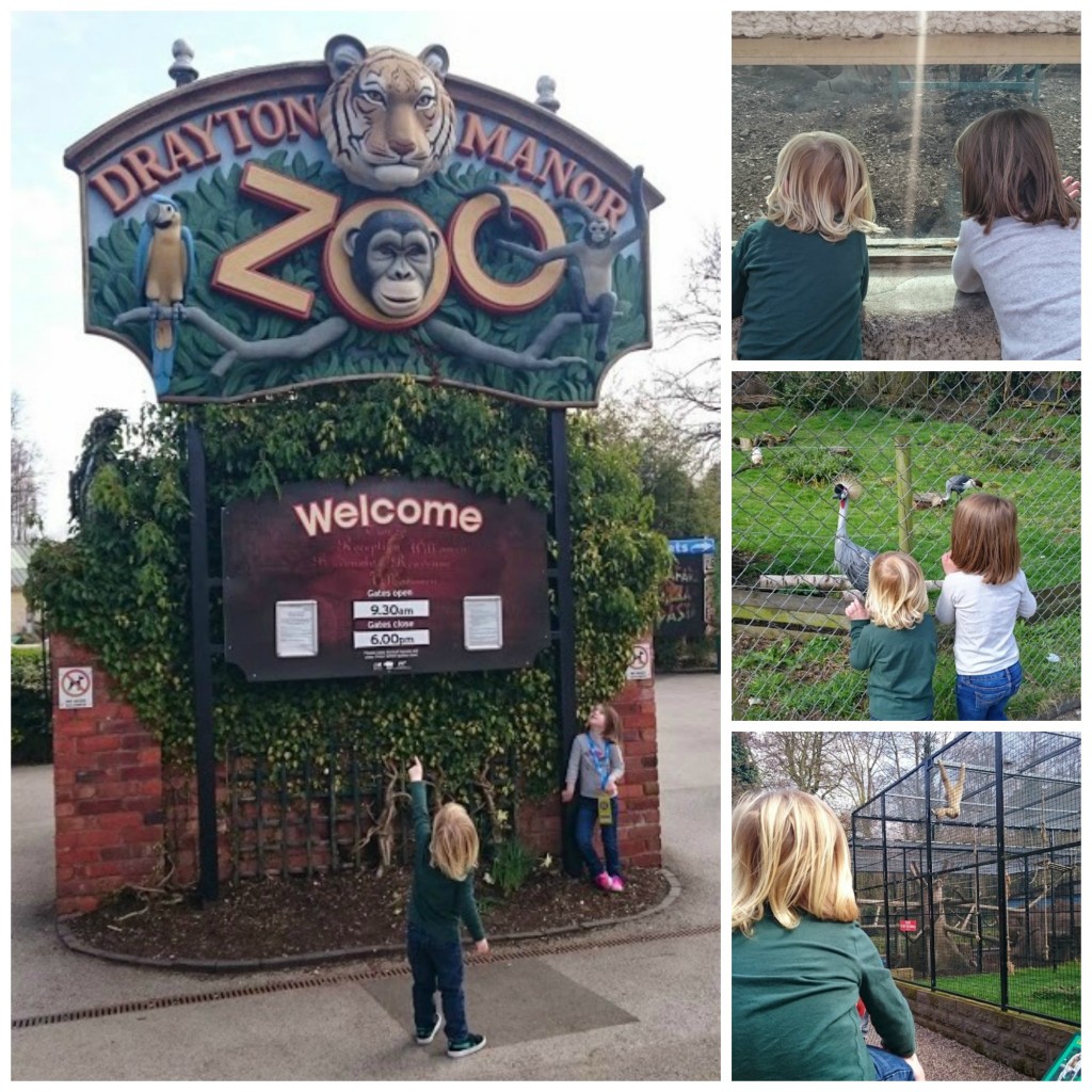 drayton manor zoo pics