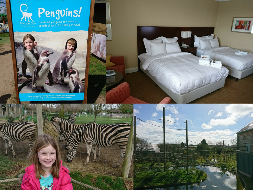 Stay Play Explore Break - Twycross Zoo and Leicester Marriott