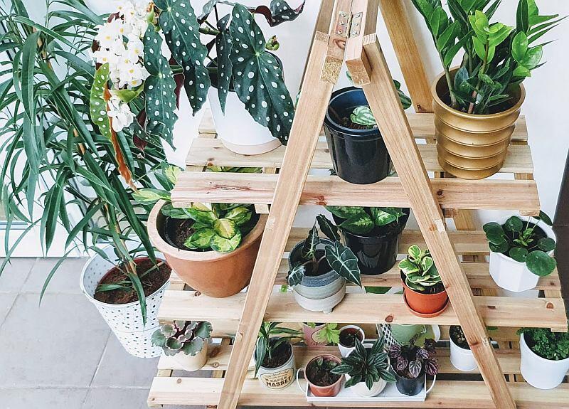 Easy House Plant Display Ideas The, Indoor Plant Table Ideas