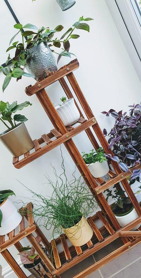 house plant stand