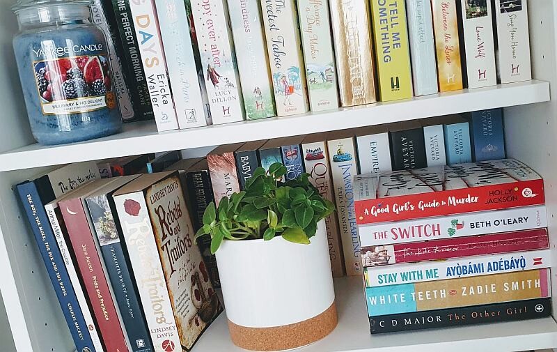 bookshelves and plant